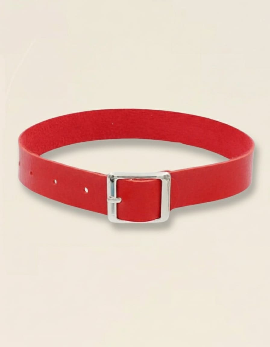 Collier rouge Pure Line en cuir, design minimaliste avec boucle argentée – Jardin Intime